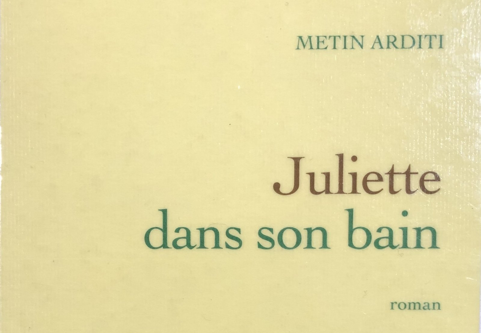 Extrait de la couverture de Juliette dans son bain, roman de Matin Arditi. Une couverture toute simple, sans illustration.