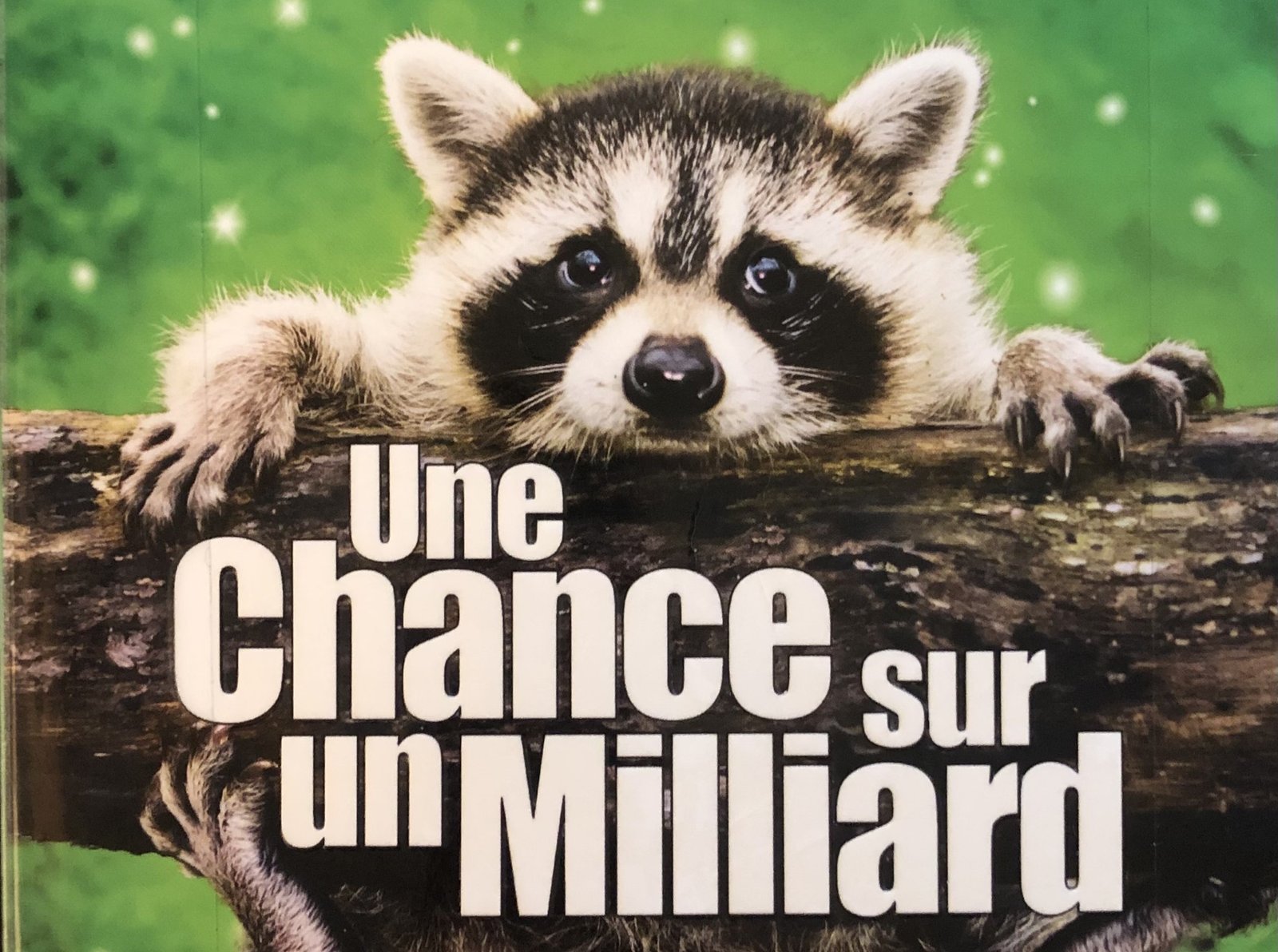 Xetrait de la Couverture de Une chance sur un milliard de Gilles Legardinier : un raton laveur sur une branche sur un fond vert brillant.