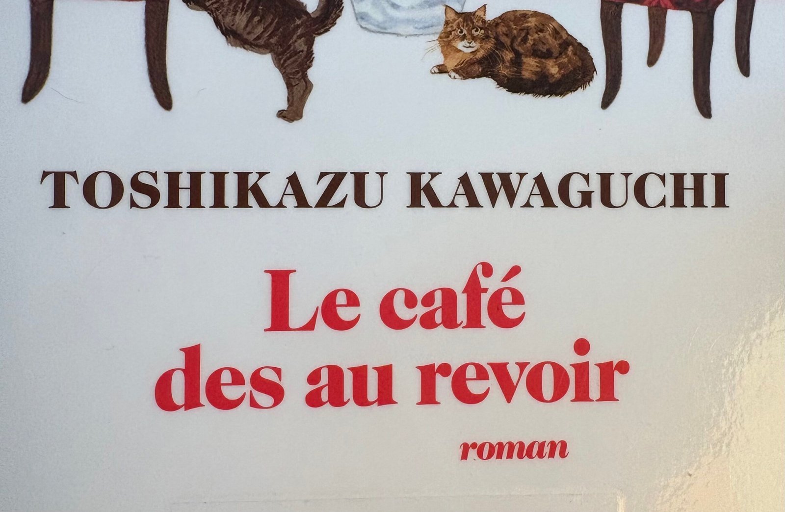 Détail de la Couverture du Café des au revoir de Toshikazu Kawaguchi. Deux chats, deux chaises, un mur rose.