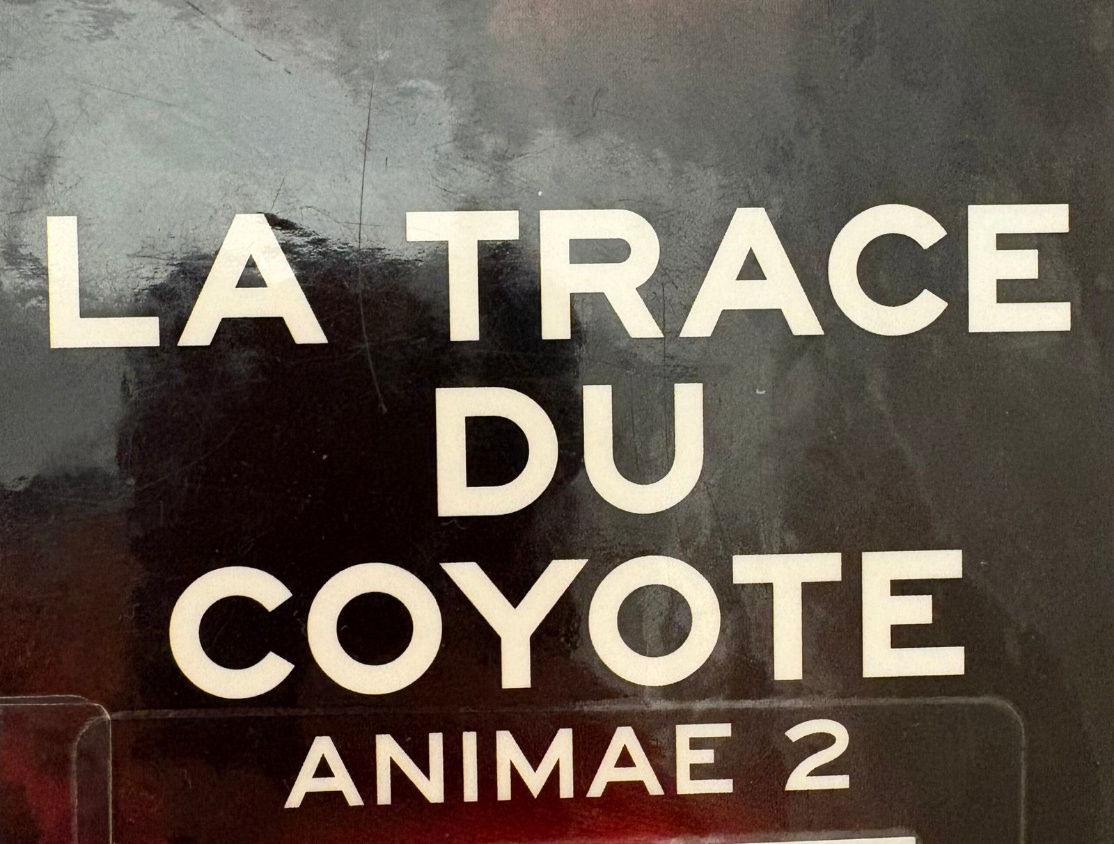 Extrait de la Couverture de La trace du coyote par Roxane Dambre. Une face de coyote aux yeux rouges au-dessus d'une ville.