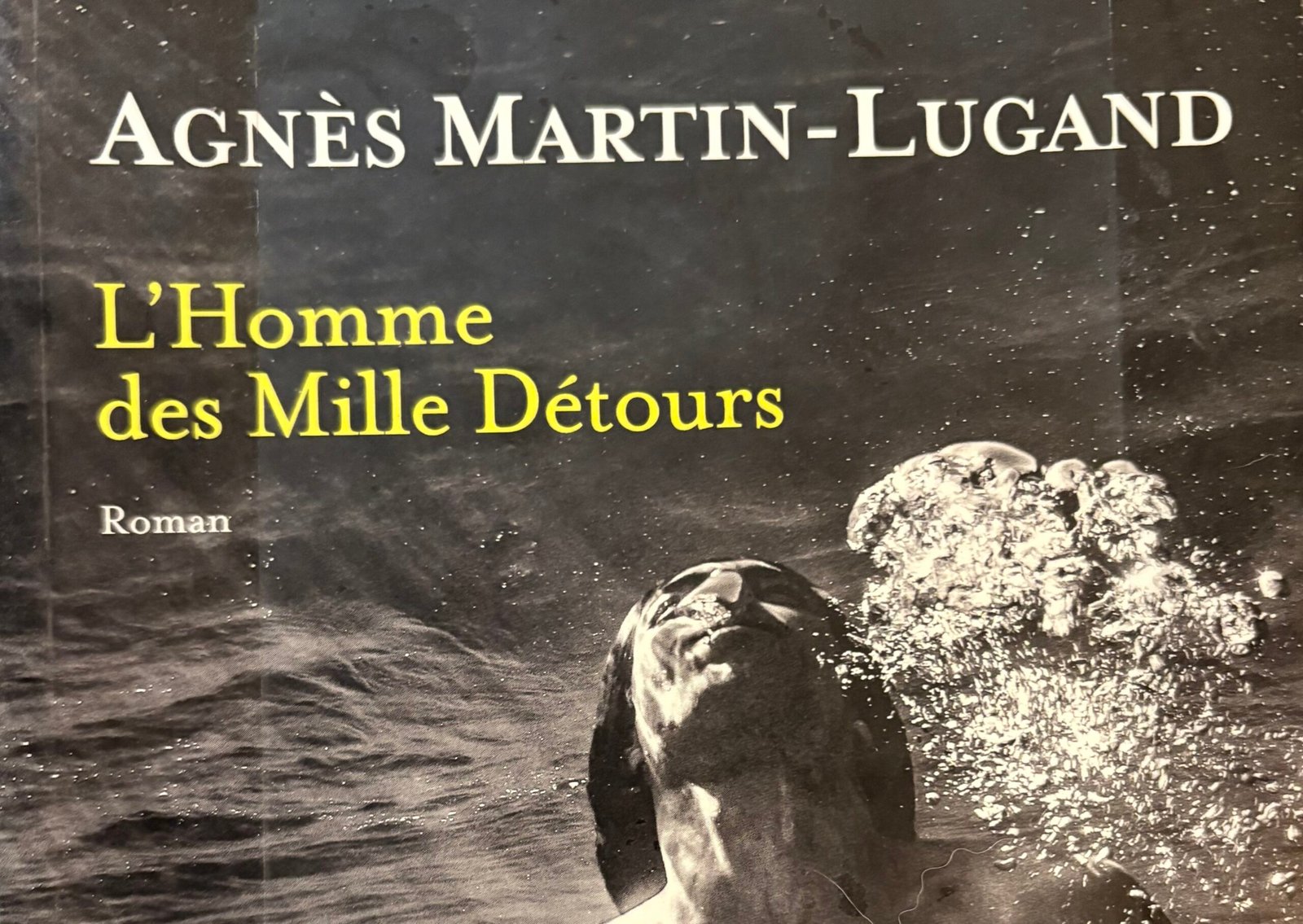 Extrait de la Couverture de l'Homme des Mille Détours d'Agnès Martin-Lugand : un plongeur en apnée et torse nu remonte vers la surface
