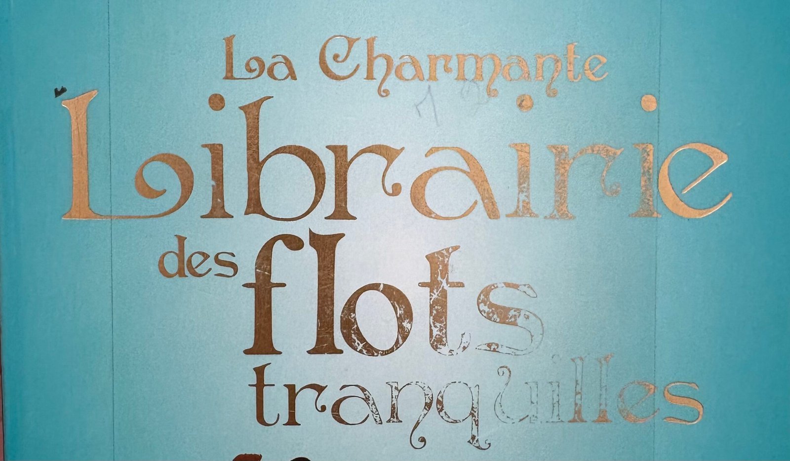 Extrait de la Couverture de la charmante libraire des flots tranquilles, de Jenny Colgan : dessin d'un couple assis sur une pile de livres elle-même sur des flots, sur fond bleu turquoise.