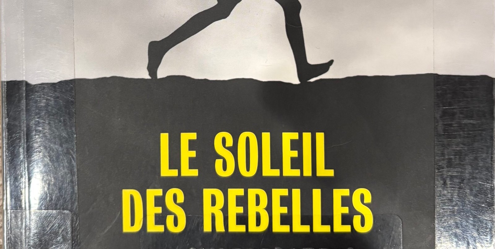 Extrait de la Couverture de Le soleil des rebelles de Luca di Fulvio : ombre chinoise d'un jeune garçon qui court devant un soleil ou la lune dans un paysage brumeux.